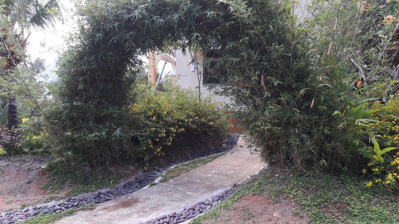 Apartament Jardin Marron Baie Sainte Anne Zewnętrze zdjęcie